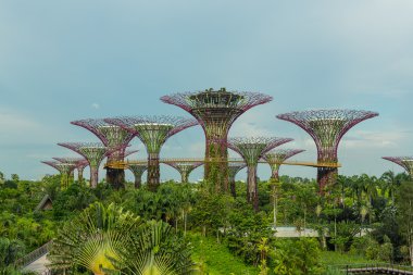 Singapur Körfezi 'ndeki Bahçeler