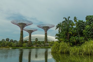 Singapur Körfezi 'ndeki Bahçeler