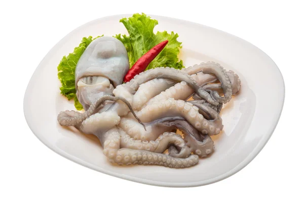 Raw octopus — Stock Photo, Image