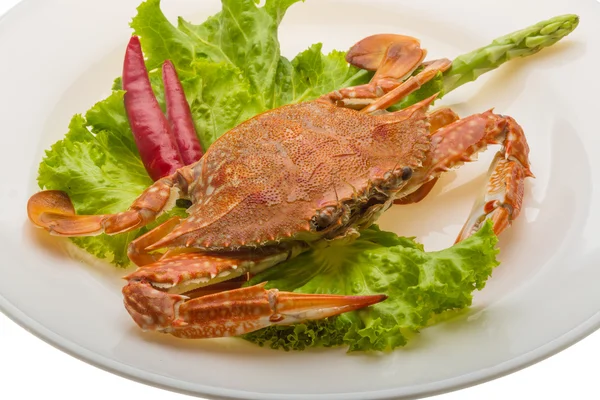 Boiled crab — Stock Photo, Image