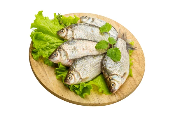 Pesce crociato — Foto Stock