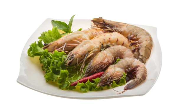 Langostino — Foto de Stock