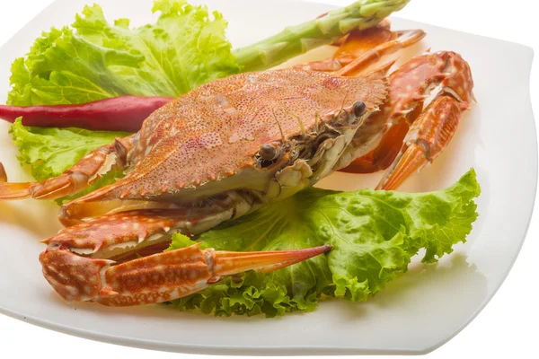 Boiled crab — Stock Photo, Image