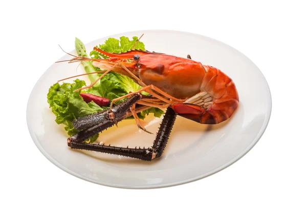 Giant Freshwater Prawn — Stock Photo, Image