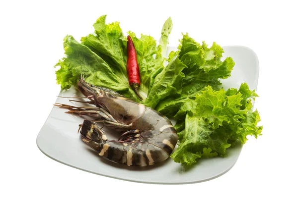 Langostino tigre — Foto de Stock