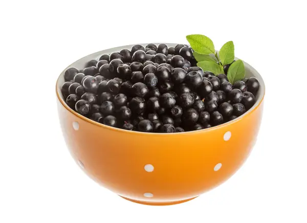 Blueberry — Stock Photo, Image