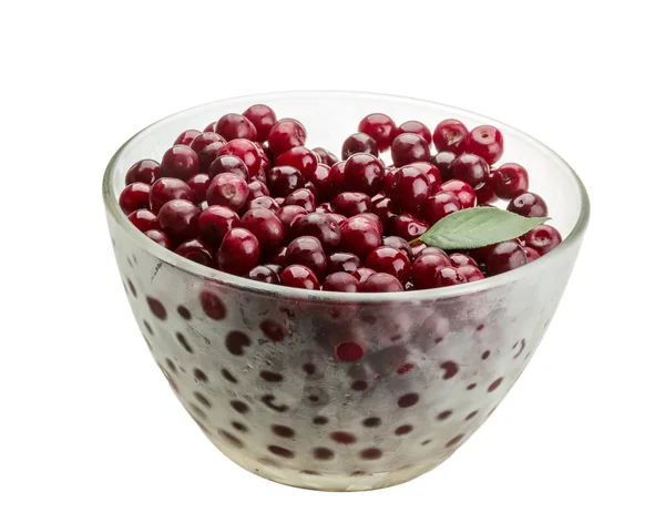 Cherry in the bowl — Stock Photo, Image