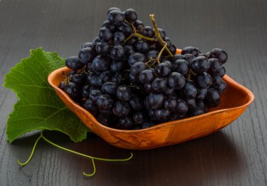 üzüm yaprağı dal