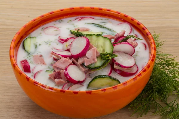Холодный суп - Okroshka — стоковое фото