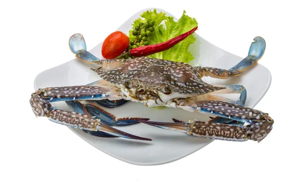 Raw blue crab — Stock Photo, Image