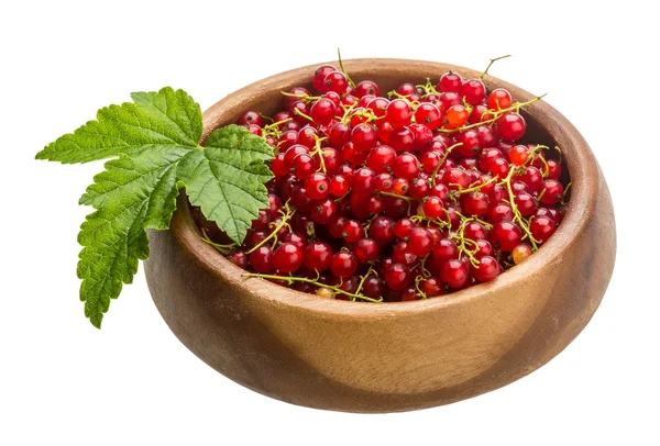 Red currant — Stock Photo, Image