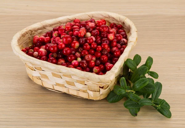 Preiselbeere in der Schüssel — Stockfoto