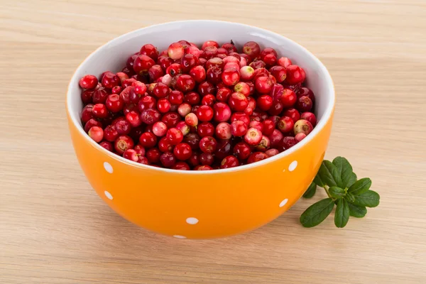 Cowberry in the bowl — Stock Photo, Image