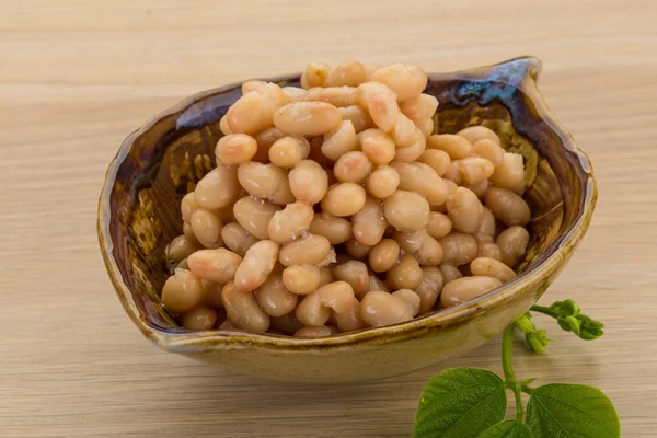 Fagioli bianchi — Foto Stock