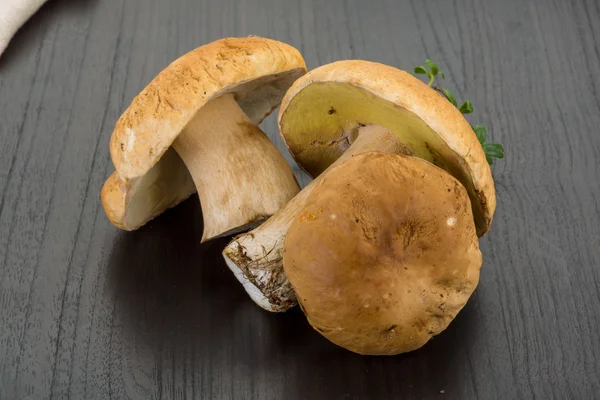 Boletus mushrooms — Stock Photo, Image