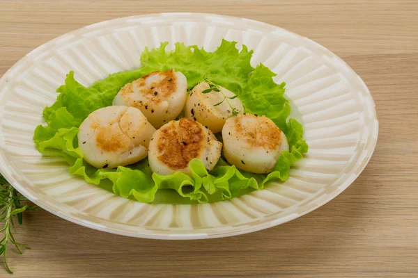 Grilled scallops — Stock Photo, Image