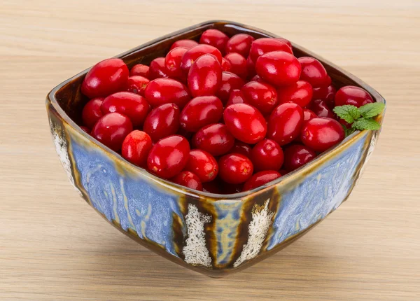 Корнусовые ягоды — стоковое фото
