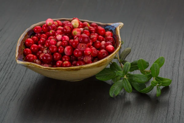 Cowberry en el tazón —  Fotos de Stock