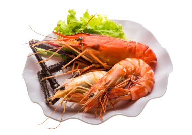 dev tatlı su karides