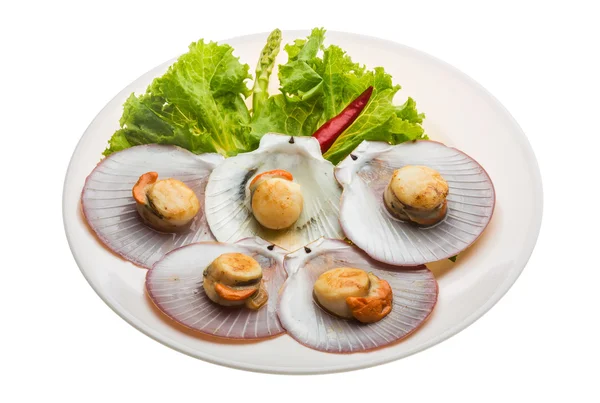 Grilled scallops — Stock Photo, Image