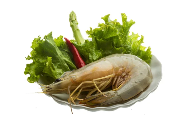 Langostino tigre — Foto de Stock