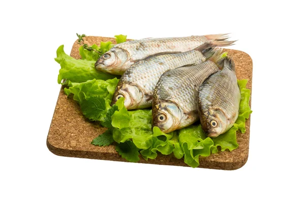 Pesce crociato — Foto Stock