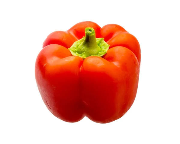 Övriga-paprika i röd — Stockfoto