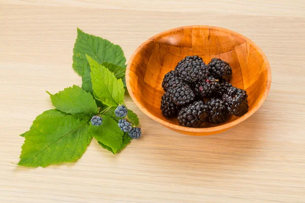 Frisse heldere blackberry — Stockfoto