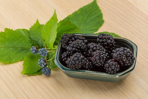 Fresco Blackberry brillante — Foto de Stock