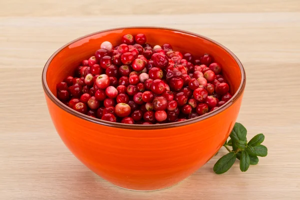 Cowberry in the bowl — Stock Photo, Image