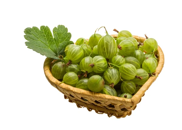 Gooseberry hijau — Stok Foto