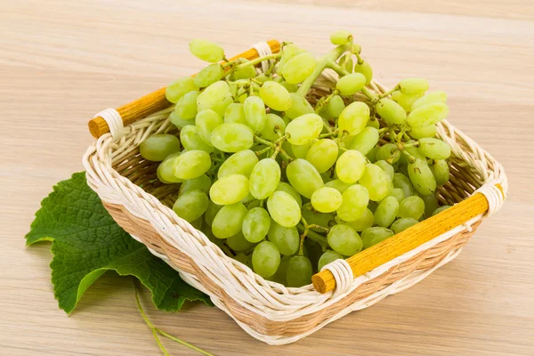 Green grapes — Stock Photo, Image