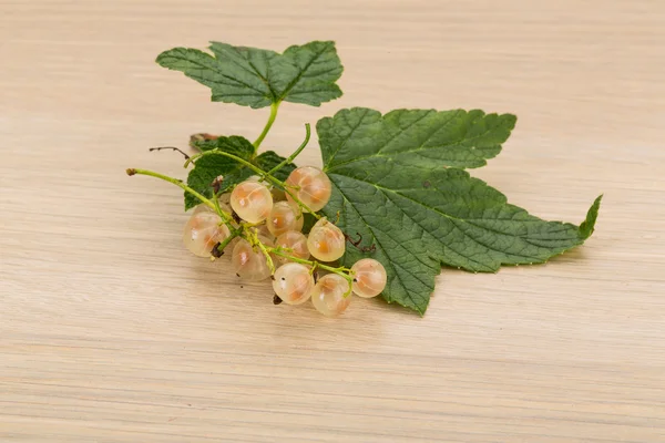 White currant — Stock Photo, Image