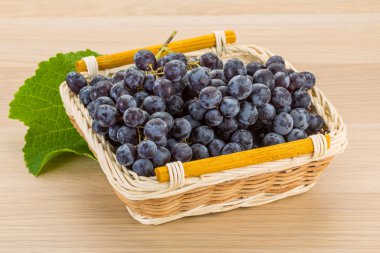 Mavi üzüm dal yaprak ile