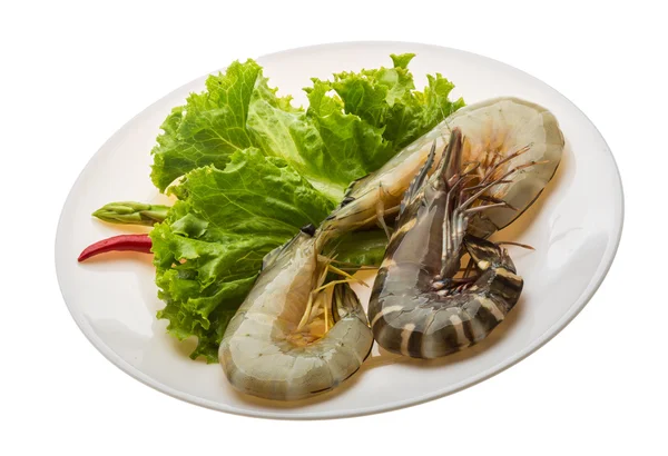 King and waterleg shrimps — Stock Photo, Image