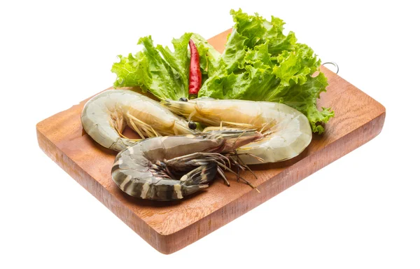 King and waterleg shrimps — Stock Photo, Image