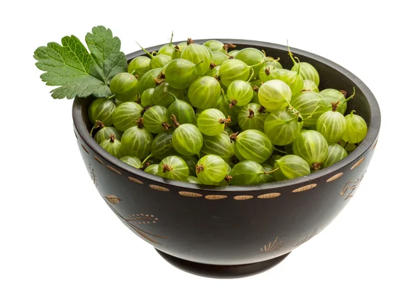 Gröna krusbär med blad — Stockfoto