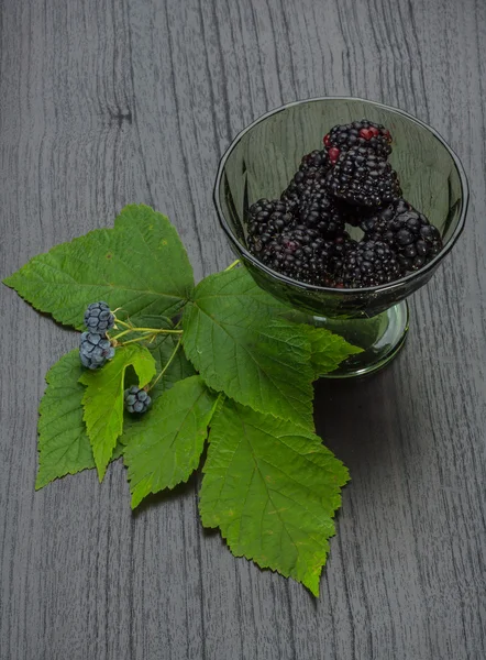 Blackberry in the bowl — Stock Photo, Image