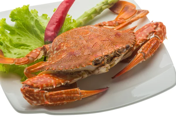 Boiled crab — Stock Photo, Image