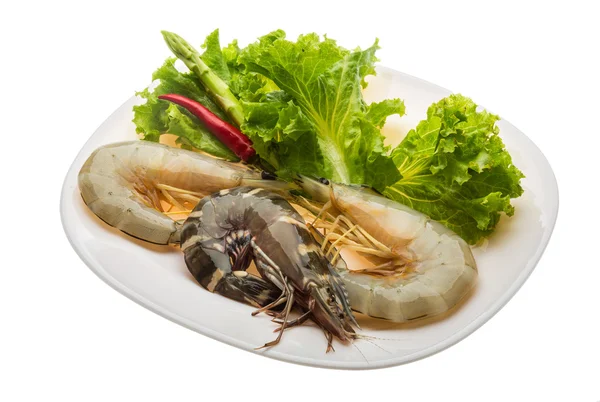 King and waterleg shrimps — Stock Photo, Image