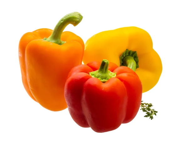 Övriga-paprika — Stockfoto