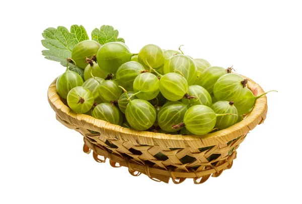 Gooseberry hijau — Stok Foto