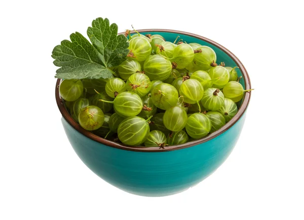 Gooseberry hijau — Stok Foto