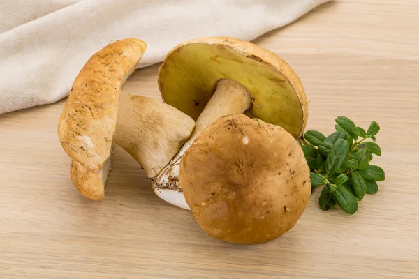 Boletus mushroom — Stock Photo, Image