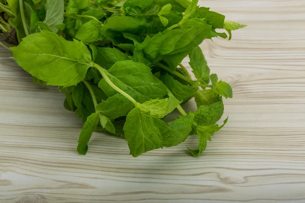 Mint leaves — Stock Photo, Image