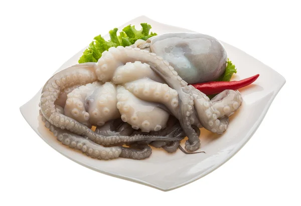 Pulpo crudo — Foto de Stock