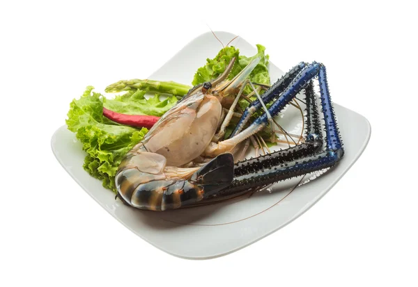 淡水虾 — 图库照片