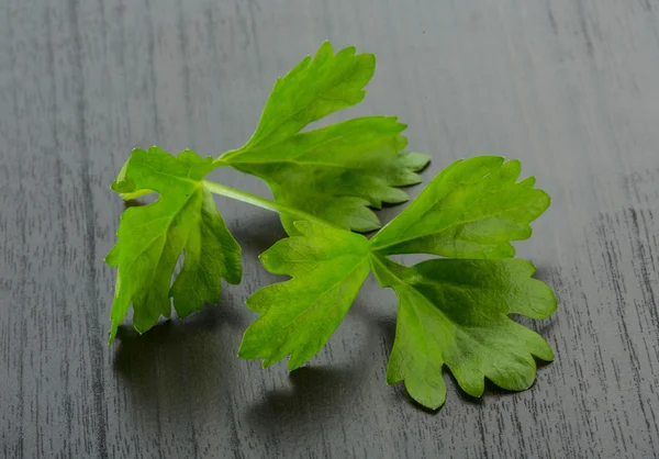 Hojas de apio — Foto de Stock