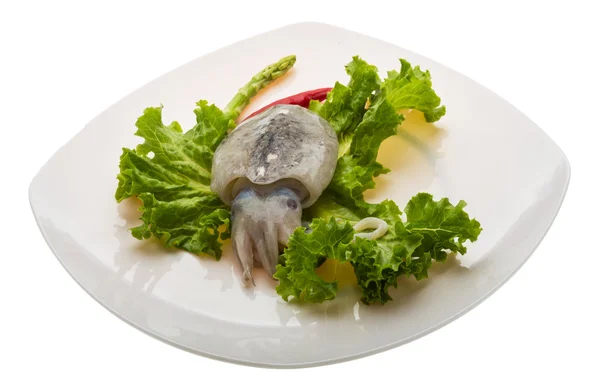 Raw cuttlefish — Stock Photo, Image