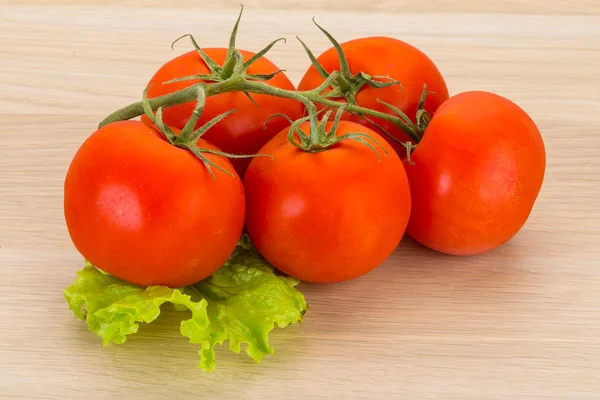 Tomatenzweig — Stockfoto